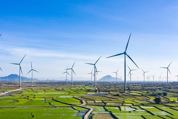 Cơ chế mua điện 'trực tiếp' không qua EVN: Hơn nửa thập kỷ vẫn tắc