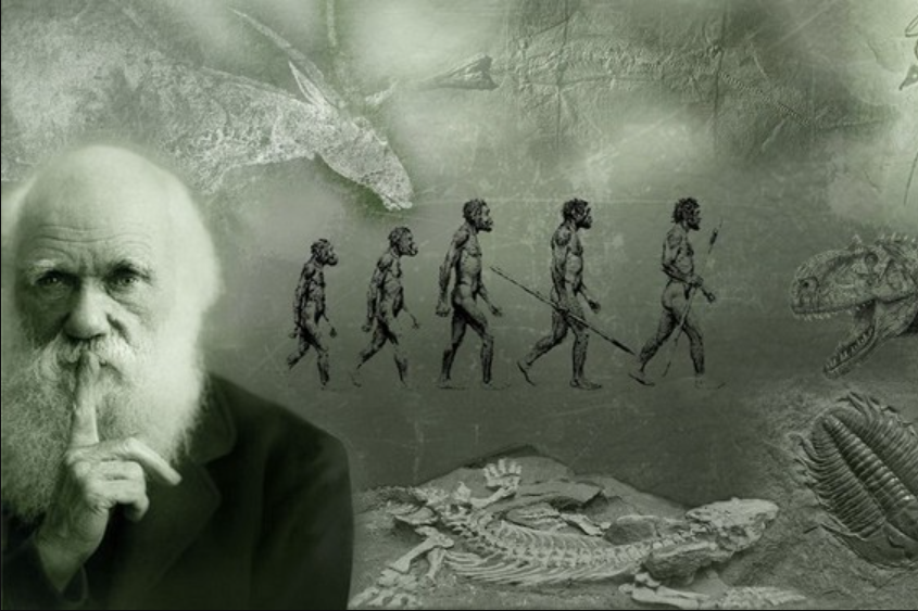 Lý do Ấn Độ loại bỏ Thuyết tiến hóa Darwin ra khỏi sách giáo khoa