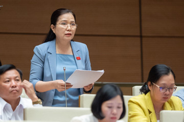 Sau vụ việc ở Đắk Lắk, đại biểu Quốc hội đề nghị củng cố lực lượng an ninh cơ sở
