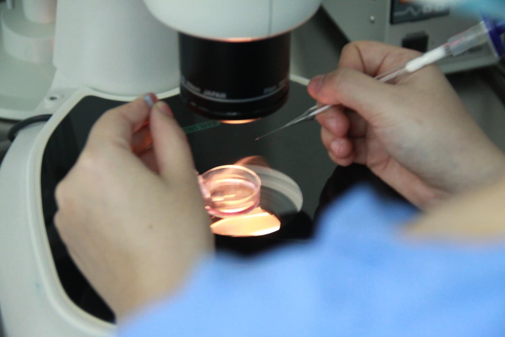 IVF services offer high profits