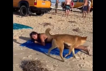 Nữ du khách bị chó hoang tấn công khi đang nằm tắm nắng trên bãi biển