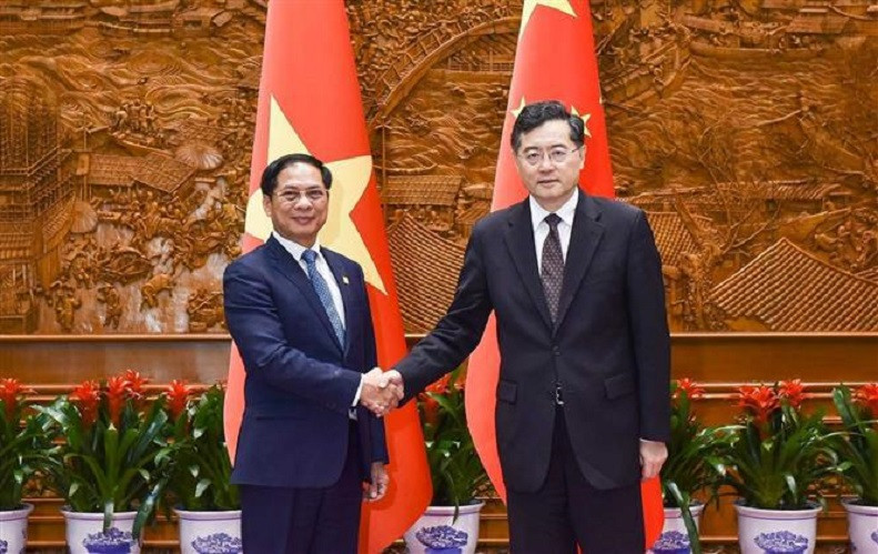 Vietnamese, Chinese FMs seek measures to promote bilateral ties