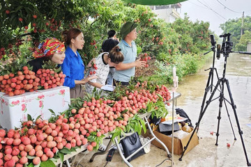 Đưa nông sản Việt lên sàn, giúp nông dân livestream bán hàng qua mạng