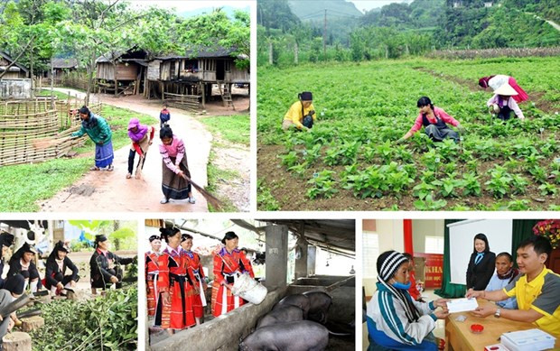 Over 240 million USD disbursed for 19 northern localities hinh anh 1