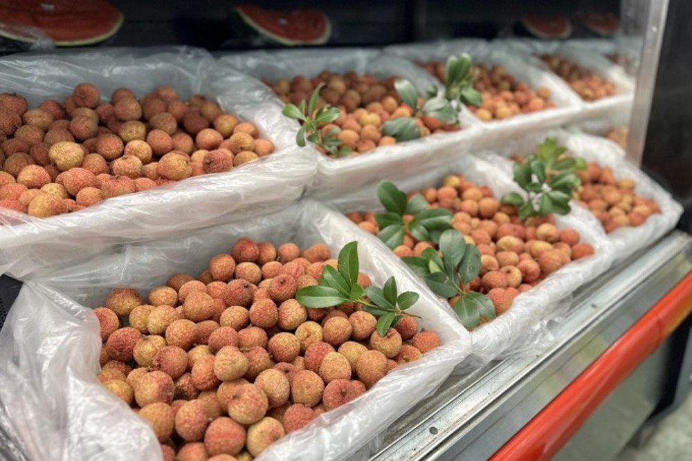 Vietnam’s lychees exported to US and Japan, sell for high prices