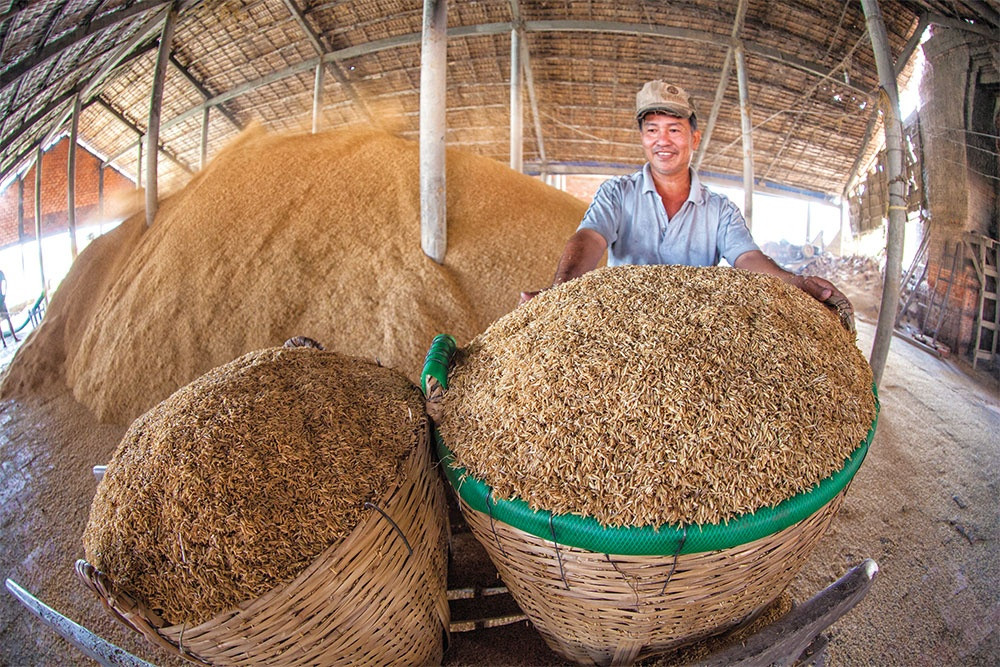 Desire to switch from coal-fired energy