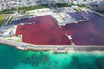 Video nước biển trong xanh bất ngờ chuyển sang màu đỏ ở Nhật Bản