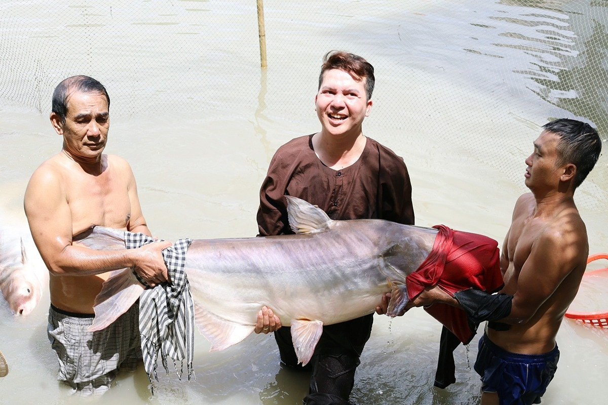Đàn ‘thủy quái’ báu vật, mỗi con nặng hơn 100kg chưa từng thấy ở Việt Nam