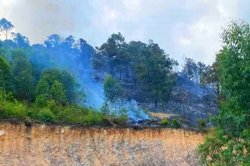 Cháy rừng khiến 2 người tử vong ở Quảng Ninh