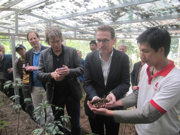 Nature’s bounty: ginseng farm aims to go global
