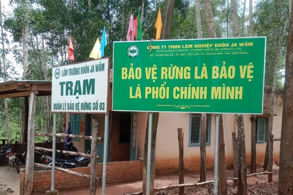 Nhân viên quản lý bảo vệ rừng bị nhóm người lạ đánh đập, bắt quỳ gối mới tha