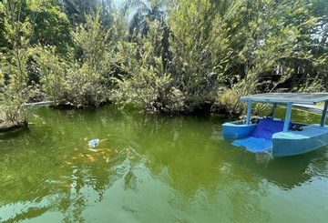 Student design effective waste collecting boat