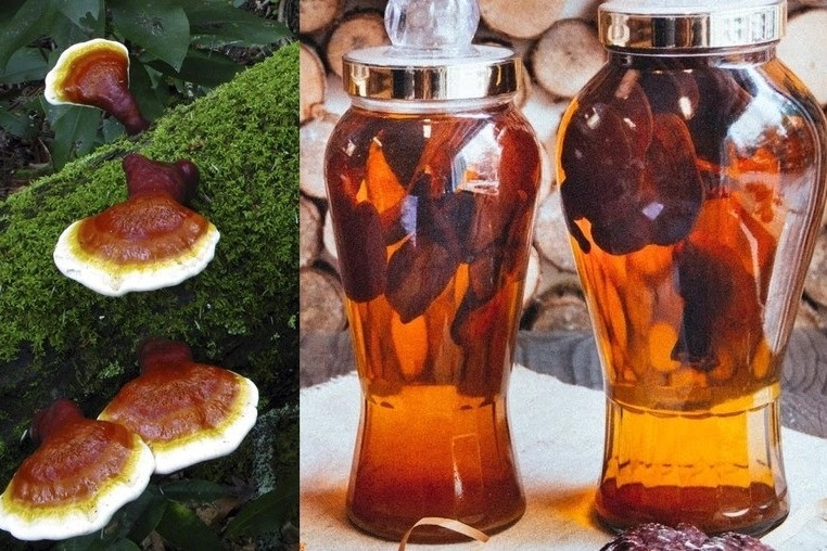 7 người ở Thanh Hóa bị ngộ độc nghi do uống rượu ngâm nấm