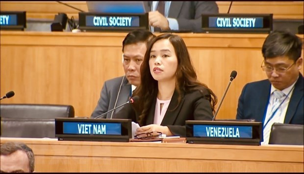Conventional ammunition management framework must respect international law, UN charter: official hinh anh 1