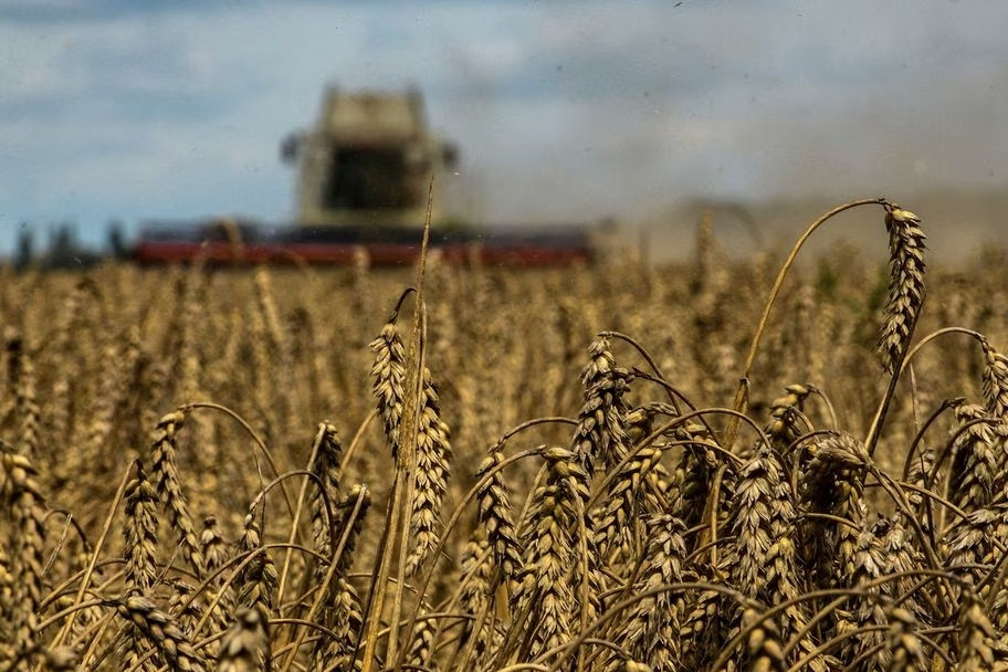 EU cho phép các nước thành viên kéo dài lệnh 'cấm cửa' ngũ cốc Ukraine