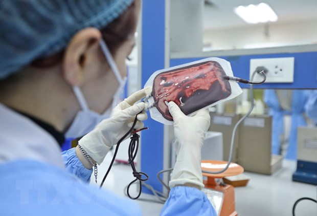 Mekong Delta hospitals’ blood reserves critically low