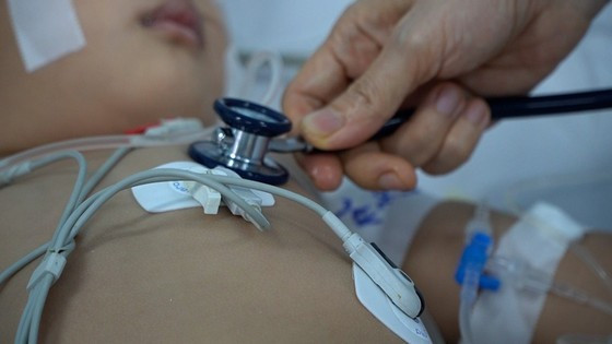 Hand, foot and mouth disease responsible for three deaths in Vietnam ảnh 1