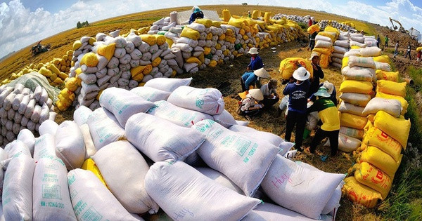 VN rice export price hits decade high