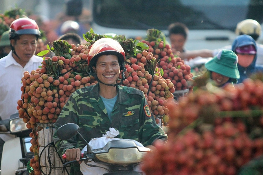 Chất vấn 2 Bộ trưởng, đại biểu hy vọng vải thiều Bắc Giang sẽ tốt lên