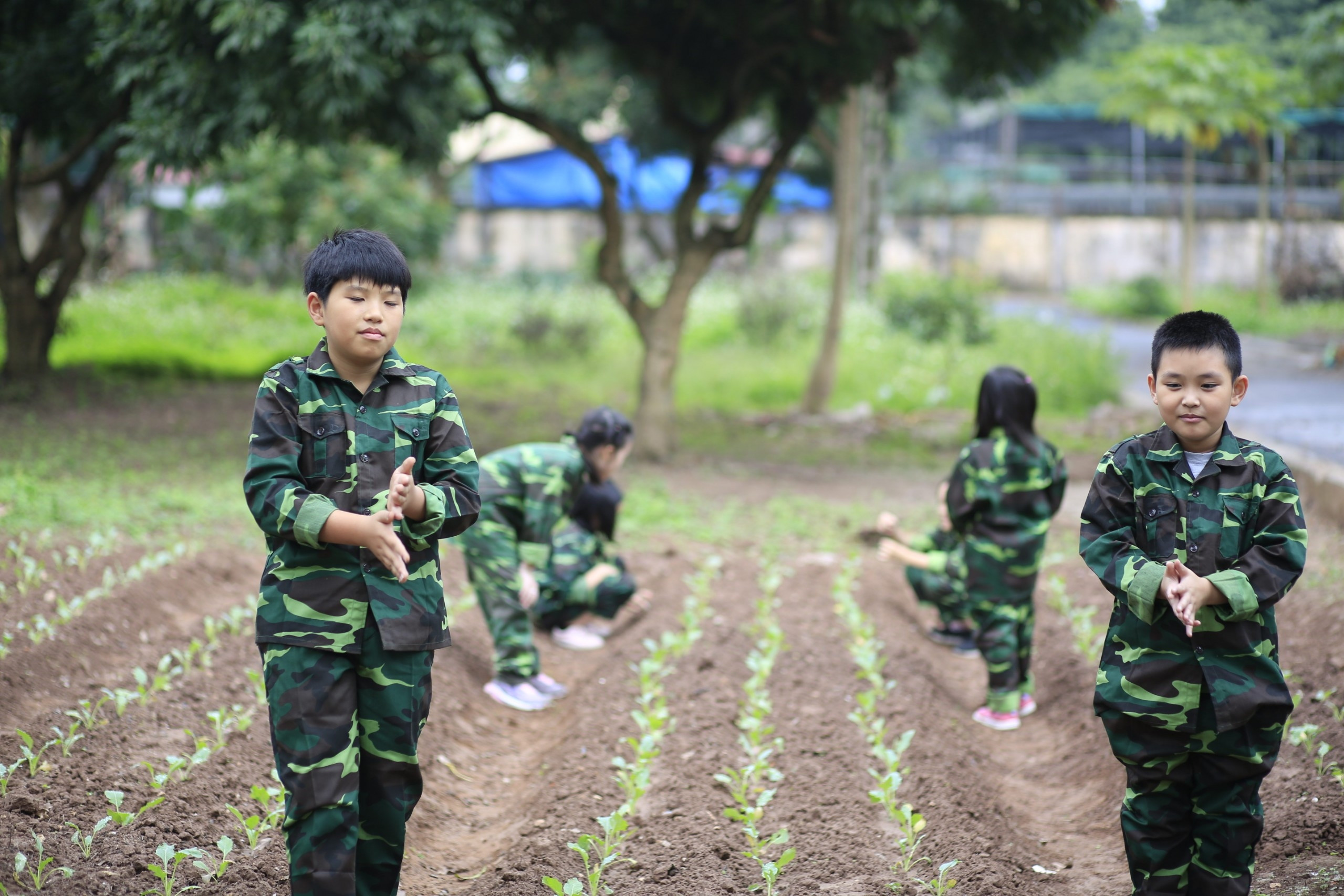 Mở ra ồ ạt, tour trại hè, học kỳ quân đội bớt 'nóng'