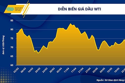 Triển vọng giá dầu sau cuộc họp của OPEC+