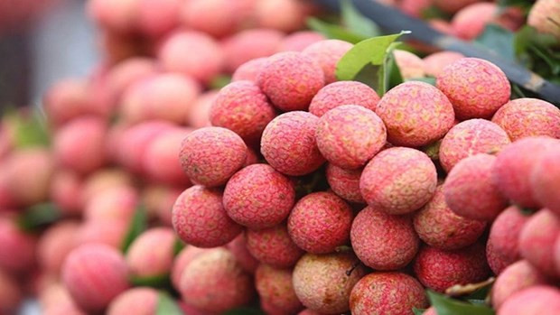 Vietnam’s first official-channel lychee shipment arrives in UK