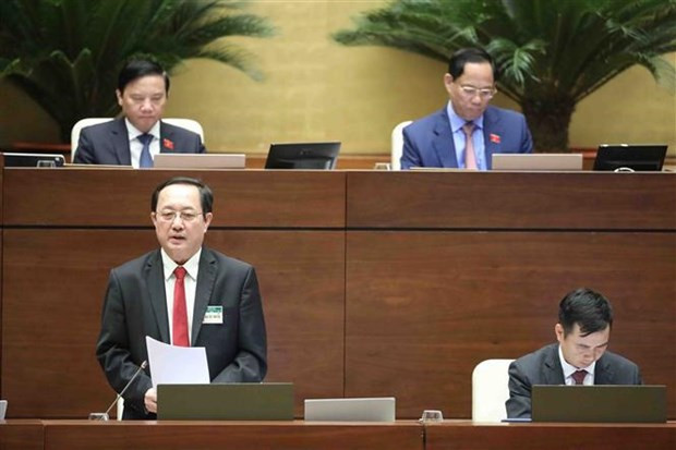 Irradiation centre to open in the north to serve fruit export: minister hinh anh 2