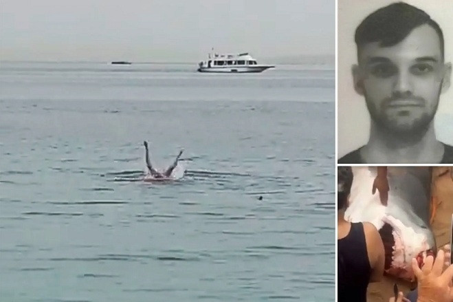 Công dân Nga thiệt mạng trong vụ cá mập tấn công ở Ai Cập