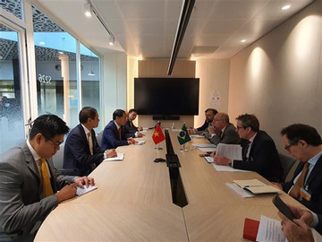 VN Foreign Minister meets officials of Brazil, France, EC, Canada in Paris