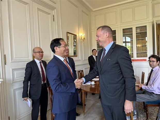 Vietnamese Foreign Minister meets officials of Brazil, France, EC, Canada in Paris hinh anh 2