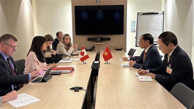 Vietnamese Foreign Minister meets officials of Brazil, France, EC, Canada in Paris hinh anh 4