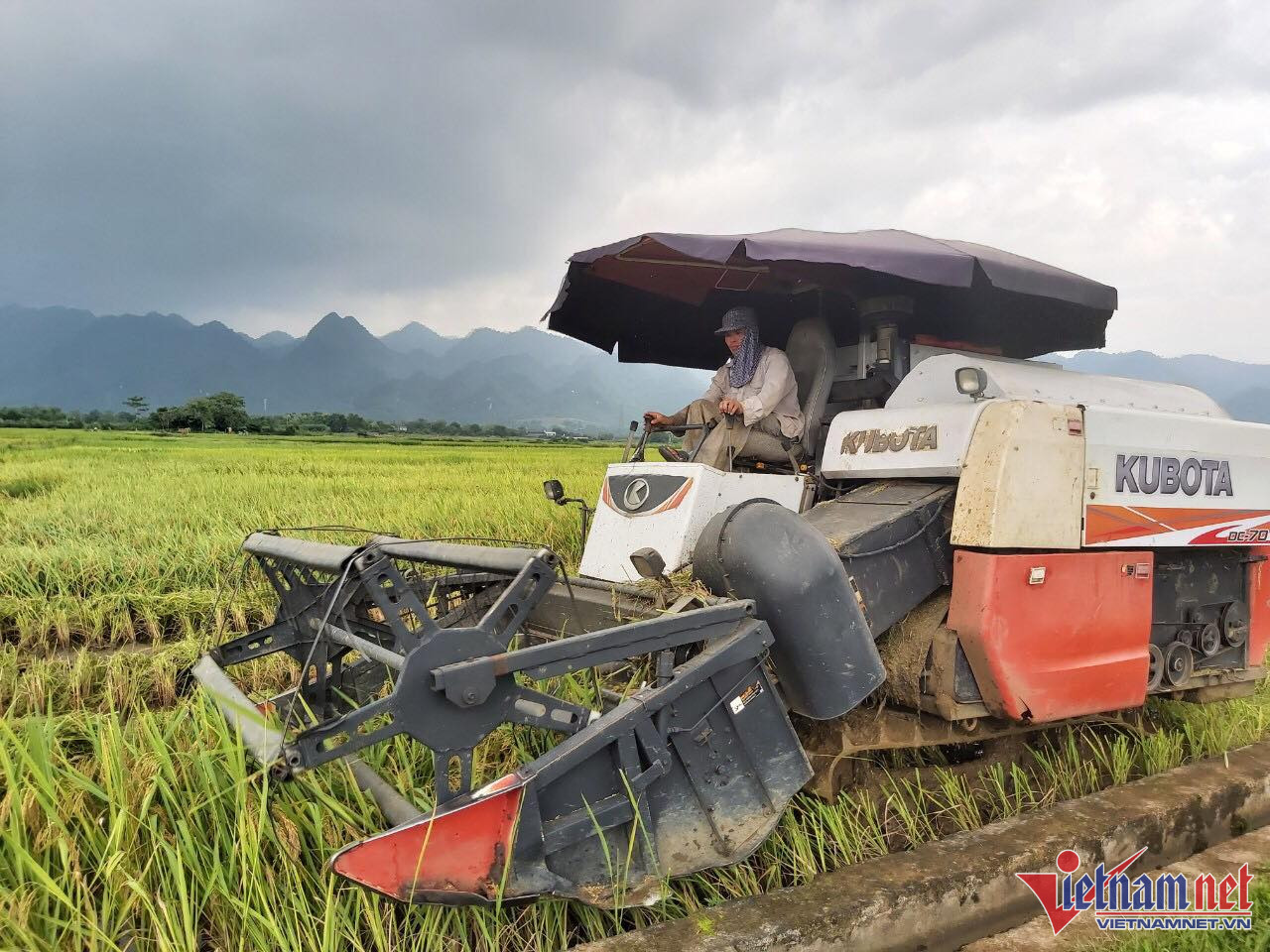 Từng bước đưa Hòa Bình thành trung tâm nông nghiệp ứng dụng công nghệ cao