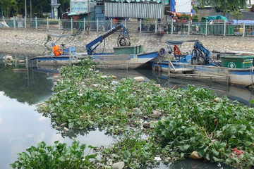 HCM City canals polluted again