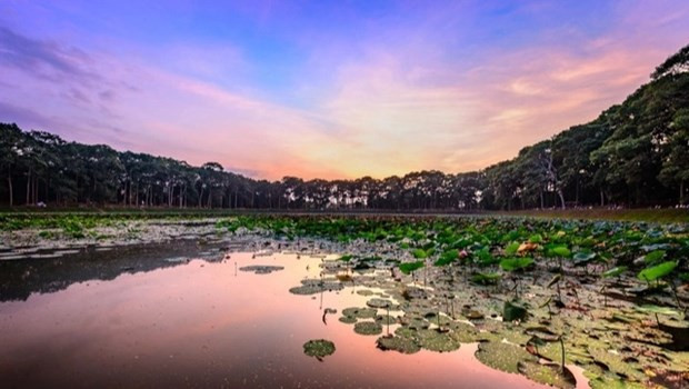 Two more typical tourism sites in Mekong Delta recognised hinh anh 1