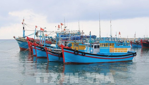 Deputy PM requires strict sanction of IUU fishing acts hinh anh 1
