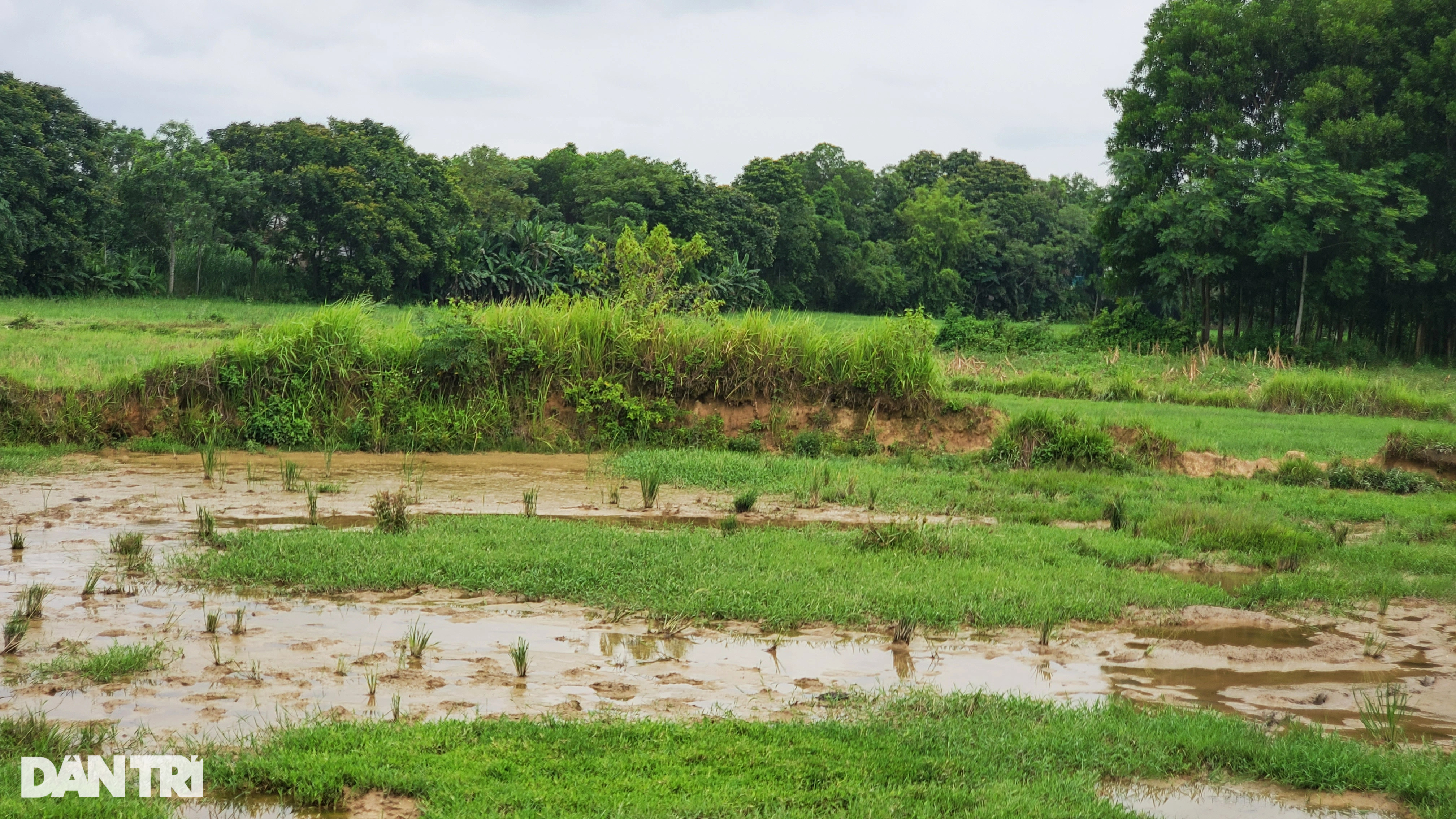 Ly kỳ chuyện hào thành ở kinh đô thời loạn - 1