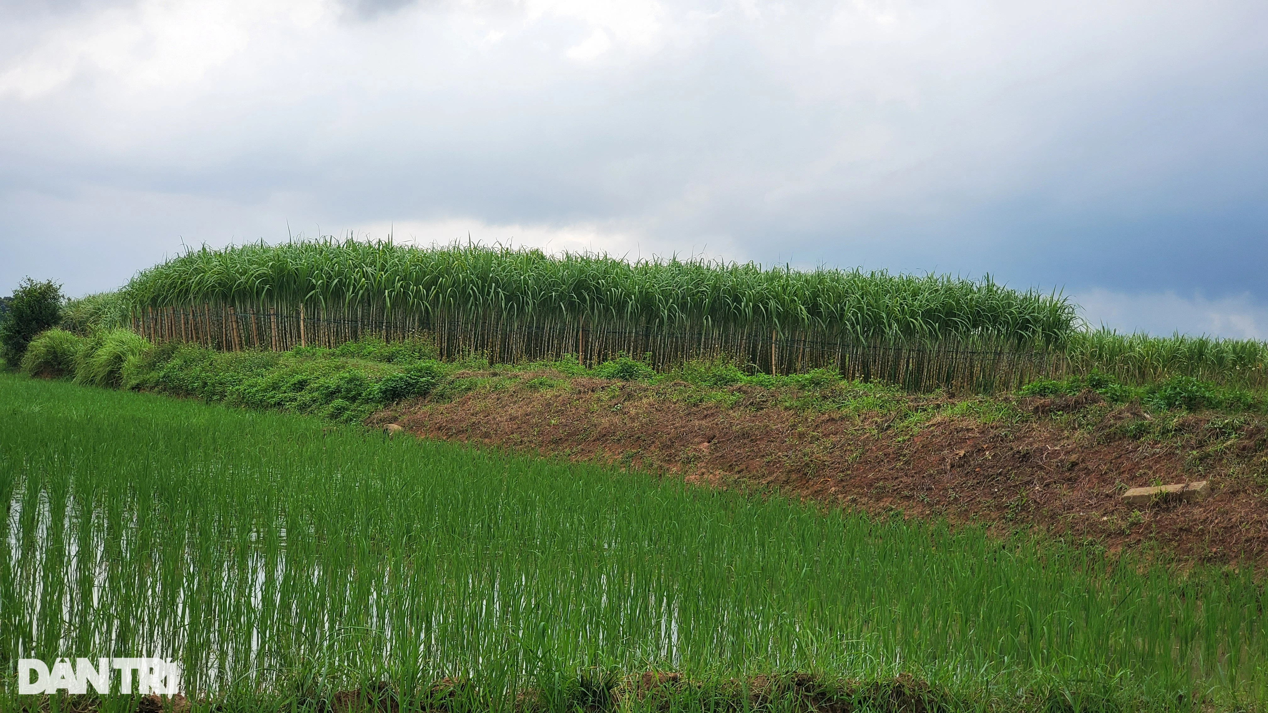 Ly kỳ chuyện hào thành ở kinh đô thời loạn - 3