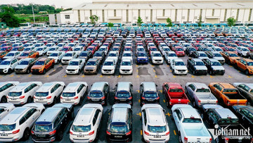 Thị trường ô tô 'le lói' tăng sức mua sau bão giảm giá