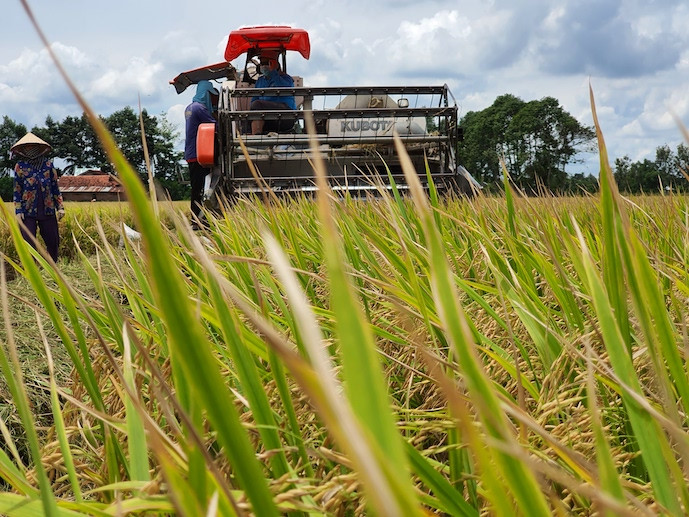 World Bank supports Vietnam in addressing El Nino and water security