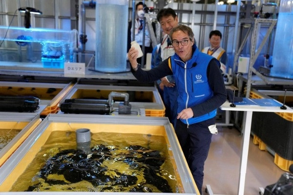 Xem Nhật Bản nuôi cá trong nước phóng xạ Fukushima đã qua xử lý