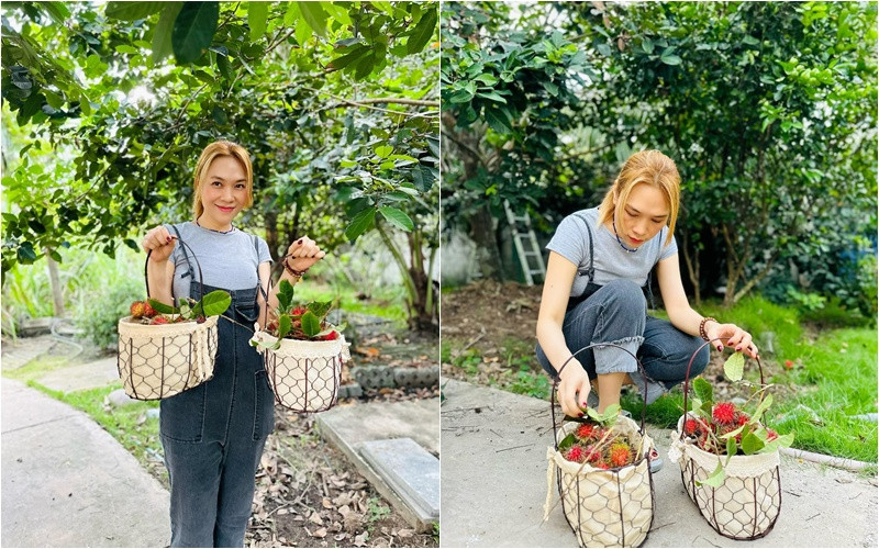 Mỹ Tâm khoe thu hoạch chôm chôm hé lộ khu vườn