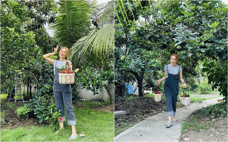 Mỹ Tâm khoe thu hoạch chôm chôm hé lộ khu vườn