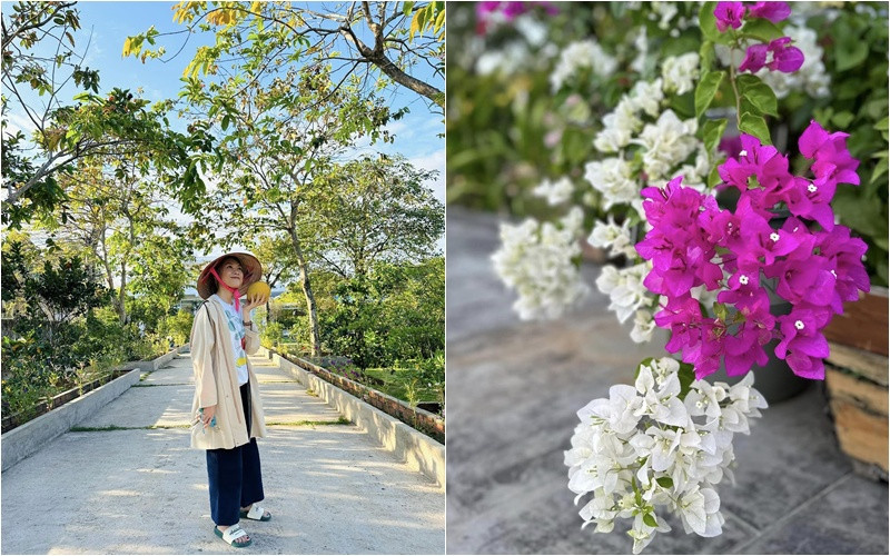 Mỹ Tâm khoe thu hoạch chôm chôm hé lộ khu vườn