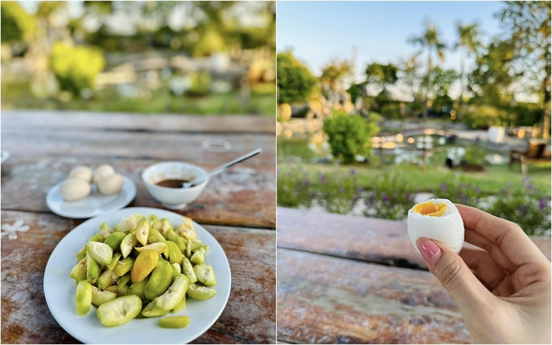 Mỹ Tâm khoe thu hoạch chôm chôm hé lộ khu vườn "đi mỏi chân không hết" - Ảnh 8.