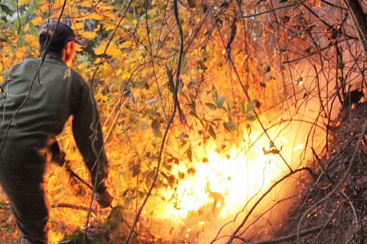 Thông tin chi tiết vụ cháy rừng hơn 10ha ở Nghệ An