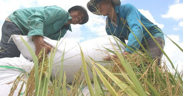 Vietnam among 25 countries halving multidimensional poverty within 15 years