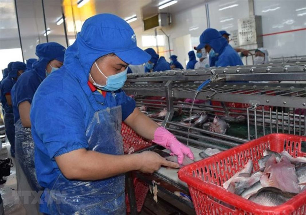 Government aids cash-strapped aquaculture businesses