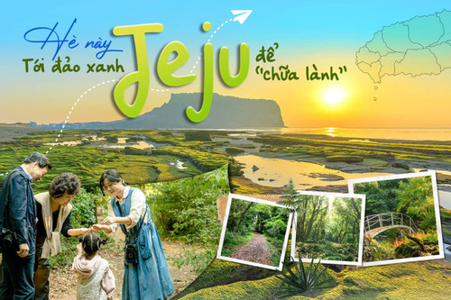 Hè này, tới đảo xanh Jeju để ‘chữa lành’