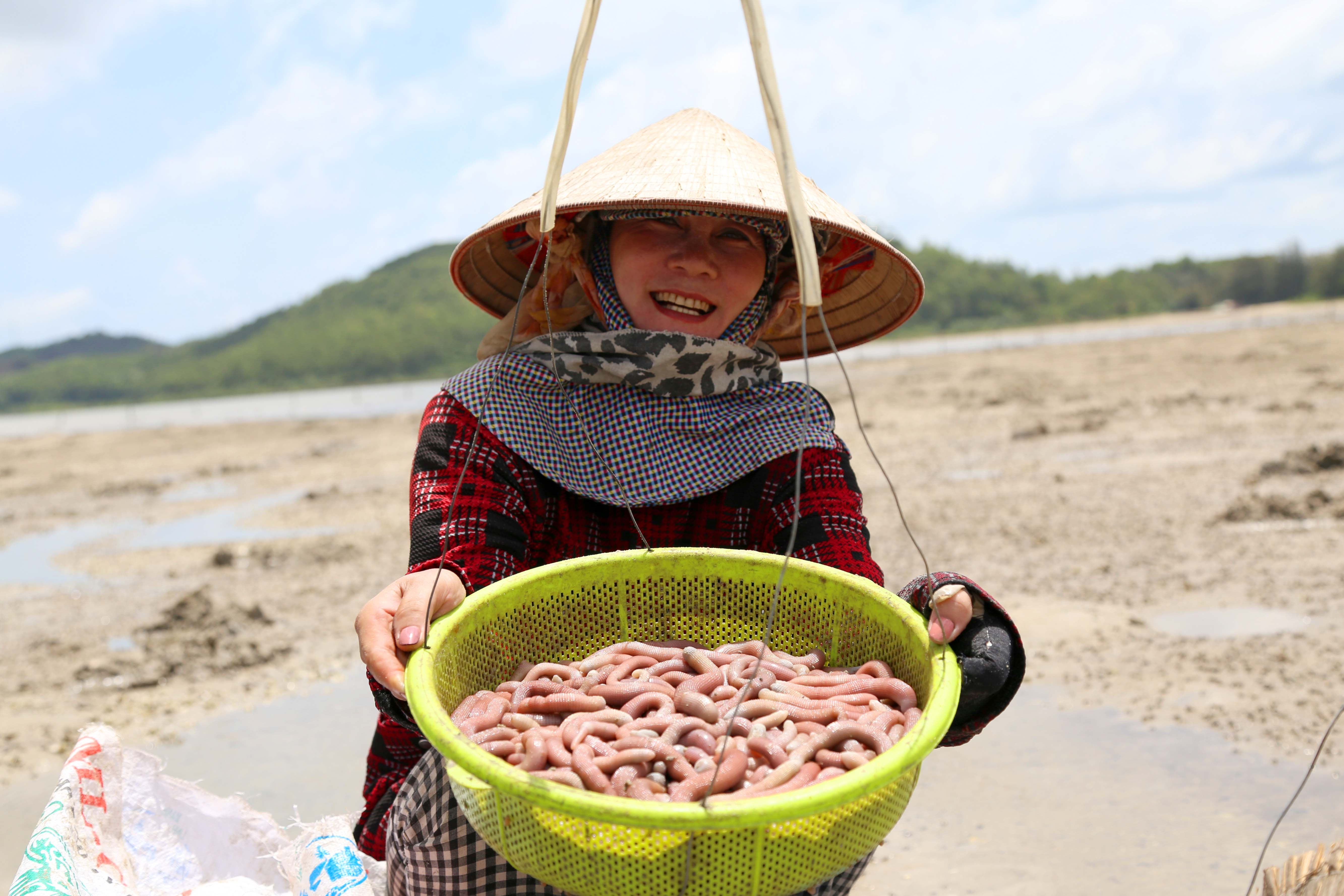 Miệt mài đào 'mì chính nhà giàu', chị em phấn khởi kiếm tiền triệu mỗi ngày