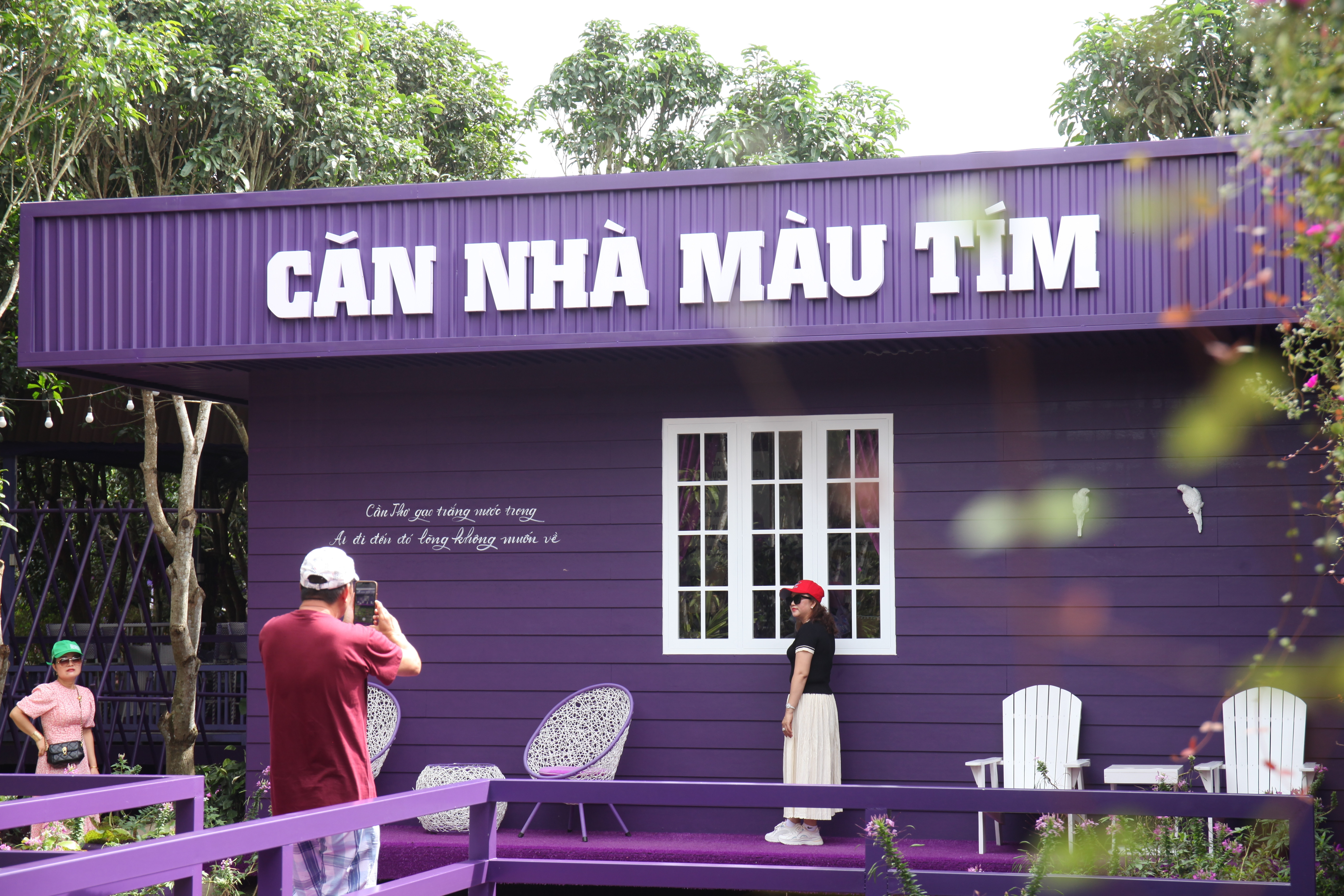 Căn nhà màu tím 1